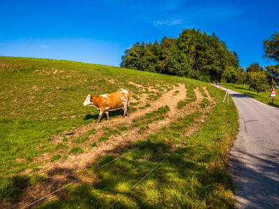 Bild 63 aus  Greischbergerhof