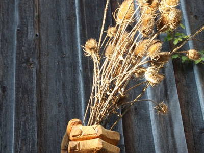 Bild 35 aus  Biohof Besenbäck