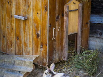 Bild 26 aus  Örgenbauer