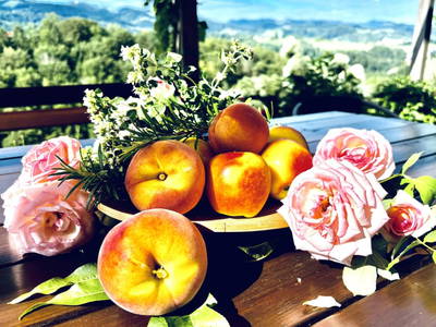 Bild 51 aus  Weingut Dworschak