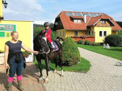 Bild 3 aus  Kuchlbauer