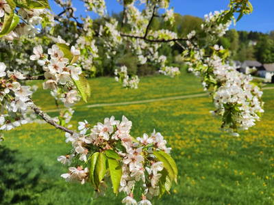 Bild 116 aus  Obergrafenberger