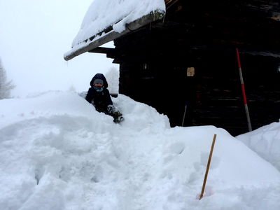 Bild 39 aus Almhütte Kärnten - Almhütte Troadkasten Stubeck