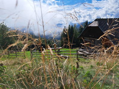 Bild 24 aus  Pettacher Hütte