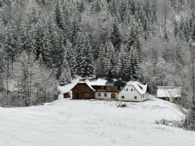 Bild 53 aus  Der Amerikaner