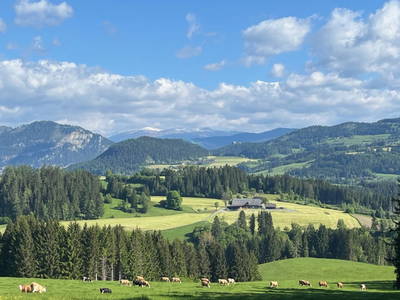 Bild 34 aus Kuchlbauer