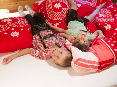 Bild 36 aus  Schmiedhofer