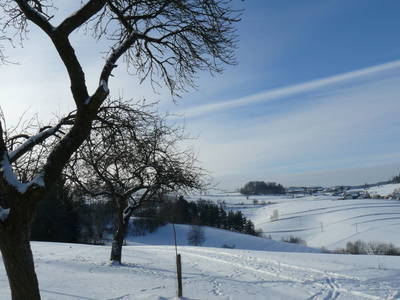 Bild 24 aus  Lias am Berg