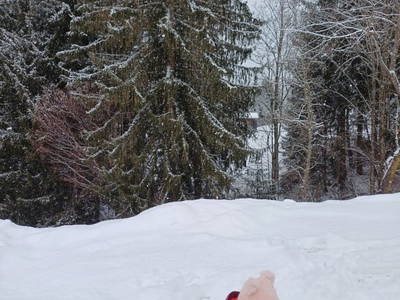 Bild 74 aus  Vorderzettn