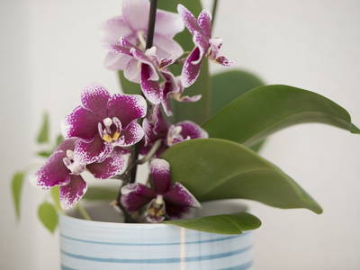 Bild 24 aus  Berg Panorama Familie Keßler