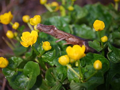 Bild 49 aus  Ployergut