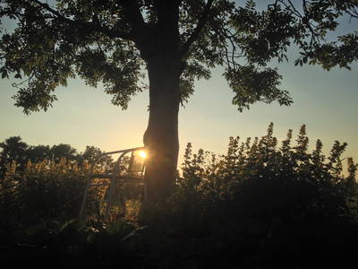 Bild 7 aus  Schwalbenhof