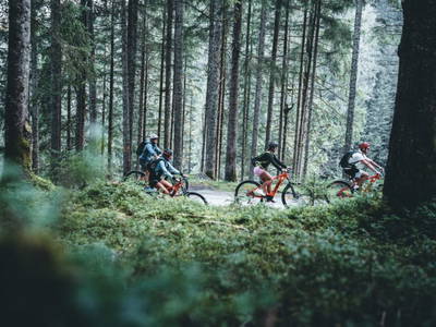 Bild 103 aus  Enzianhütte im Habachtal