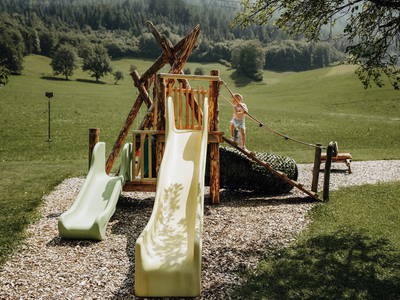 Bild 144 aus  Taxengut