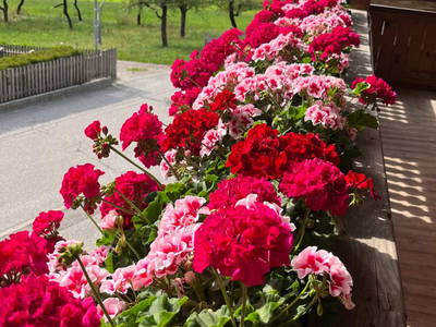 Bild 4 aus  Tuscherhof