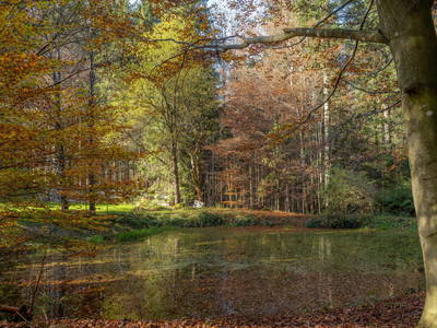 Bild 38 aus  Grashöfle