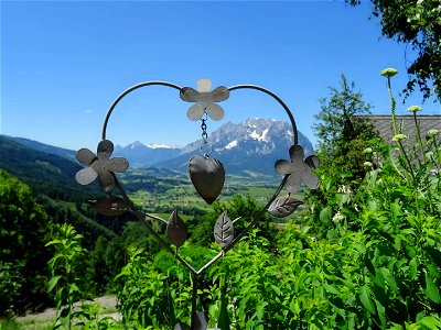 Bild 21 aus Biobauernhof Thonnerhof