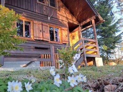 Bild 16 aus  Prechtlerhütte