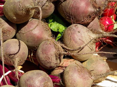 Bild 65 aus  Naturgartenurlaub - Steffis Ferienwohnungen