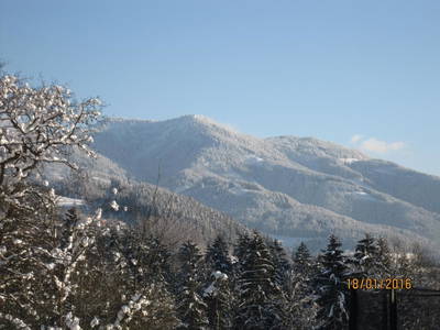Bild 124 aus  Biohof - Einberghof