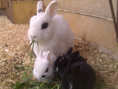 Bild 34 aus  Weidinghof