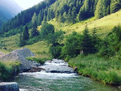 Bild 67 aus  Haus Alpengruss