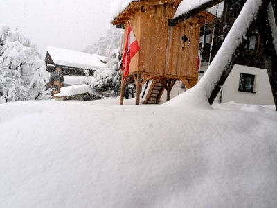 Bild 22 aus Alpen-Bauernhaus Konzett