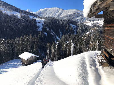 Bild 20 aus TESTHOF Oberösterreich
