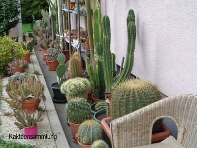 Bild 19 aus  Gästehaus Schlossblick