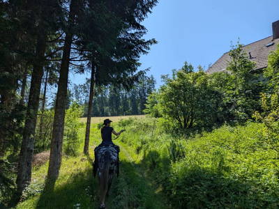 Bild 55 aus  Bio- und Reiterhof Gollner