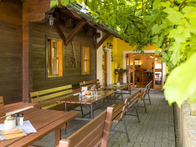 Bild 5 aus  Weingut & Buschenschank Pölzl