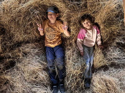 Bild 108 aus  Wallneralm