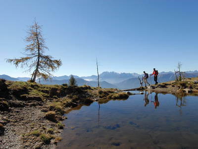 Bild 105 aus  Panorama Hof Fa. Sereinig