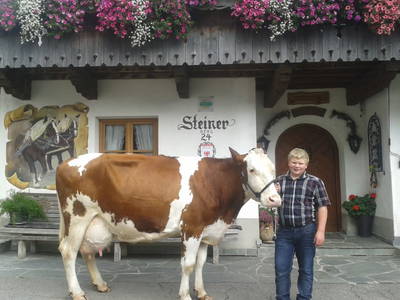 Bild 37 aus  Rieplerhof