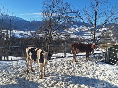 Bild 9 aus  Ferienhof Muxel