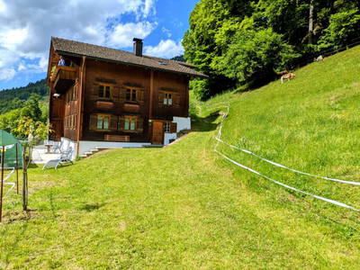 Bild 78 aus Zom Ruaba