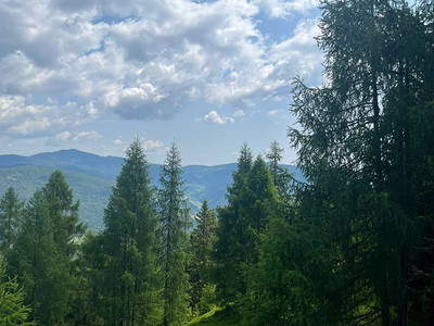 Bild 264 aus Neuwirth Hütte
