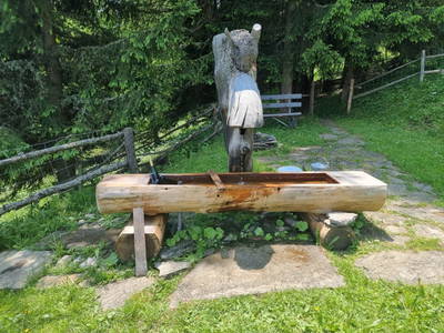 Bild 8 aus  Davidalm