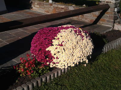 Bild 13 aus  Grünitzerhof