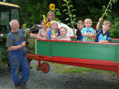Bild 6 aus  Steffahof - Mitglied von LandSelection