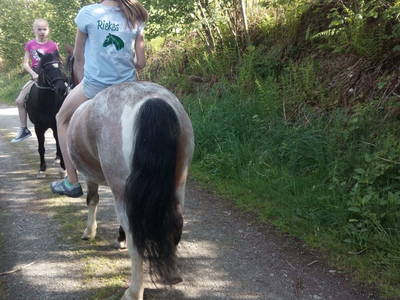 Bild 20 aus  Ferienhof Riekeshof