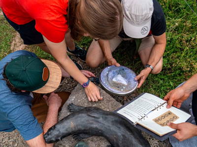 Bild 10 aus  Natur-Erlebniszentrum Gut Herbigshagen