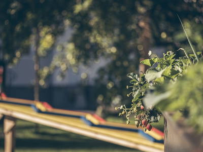 Bild 43 aus  Kinderbauernhof Scharrerhof