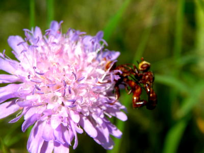 Bild 25 aus Bauernhof Webinger