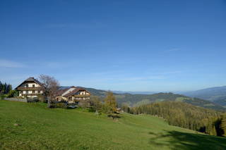 Großbauer aus Amering