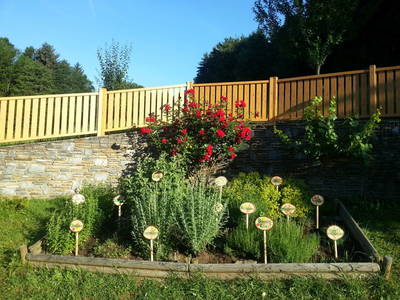 Bild 24 aus  Gesundheitsbauernhof