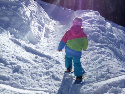 Bild 84 aus  Tobadillerhof Kinderbauernhof Pitztal Tirol
