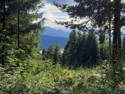 Bild 64 aus Roschusterhof