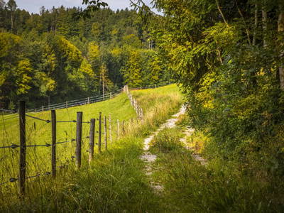 Bild 29 aus  Bio Bauernhof Paulbauer