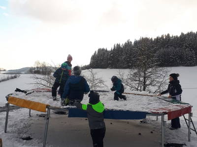 Bild 91 aus  Biohof Stadlbauer